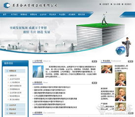 管理咨询 引领企业转型与卓越的智慧引擎