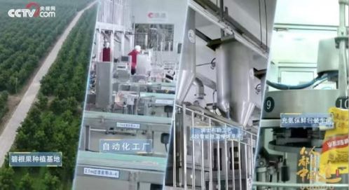 实力领航 洽洽食品荣膺“十四五”标杆企业与领军人物双重大奖